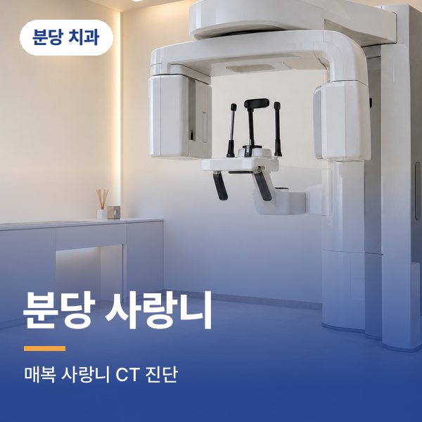 분당 사랑니